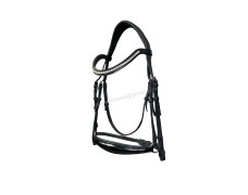 Leather Bridle 